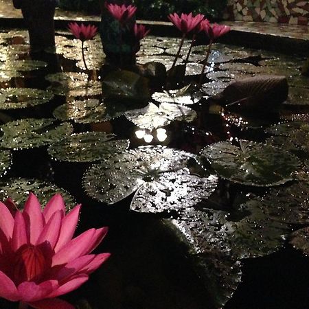 公主港The Lotus Garden住宿加早餐旅馆 外观 照片