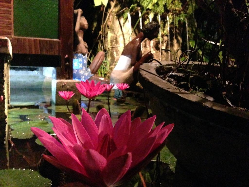 公主港The Lotus Garden住宿加早餐旅馆 外观 照片